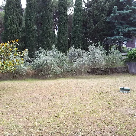 Luna, Izola, San Simon *