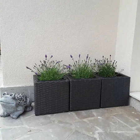 Luna, Izola, San Simon Appartement