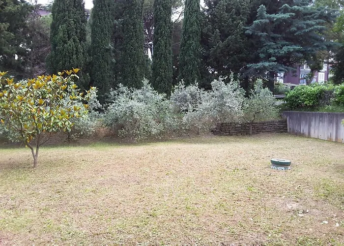 Luna, Izola, San Simon *